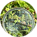 Shoora Shafeeq Shoora Shafeeq